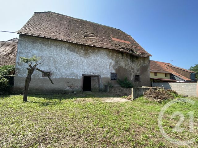 maison - OSTHEIM - 68